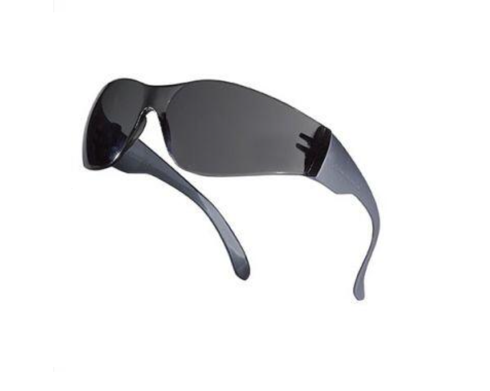 Delta Plus Brava 2 Füme Smoke Tek Camlı Polikarbonat Gözlük